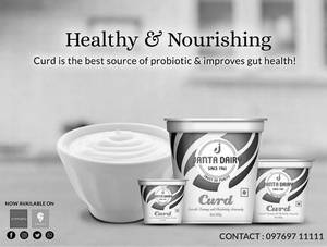 Plain Curd