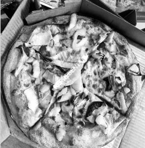 Onion Pizza