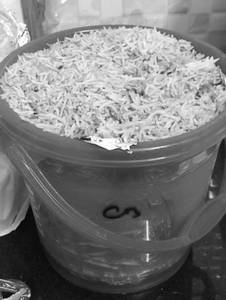 Chicken Bucket Briyani (6Pcs)