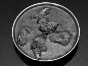 Mutton Ukkad