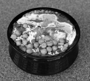 Matar Paneer