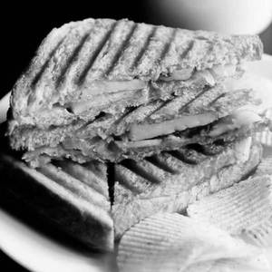 Veg Grilled Sandwich