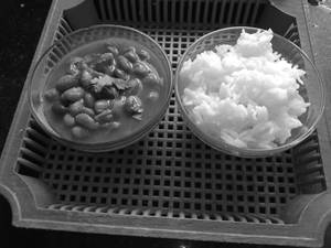 Rajma Chawal