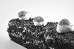Black Forest Pastry (3 Pieces)