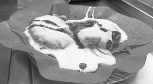 Aloo tikki
