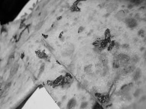 Aloo Paratha