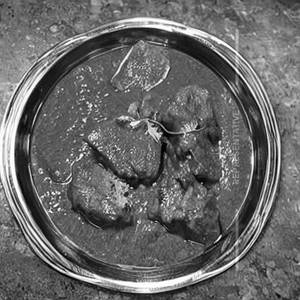 Mutton Do Pyaza