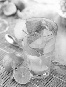Mint Mojito