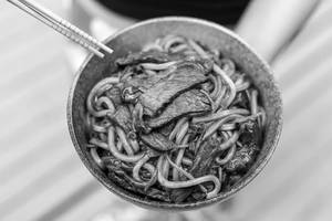 Udon noodles