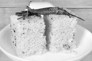Dhokla (Plain)