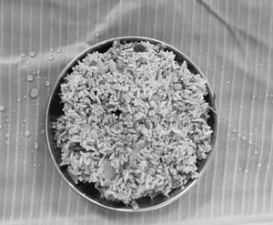 Tomato Rice