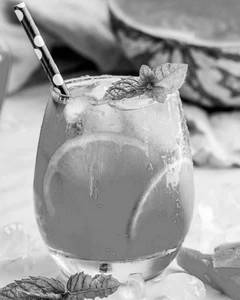 Watermelon Mojito