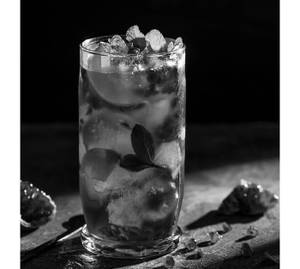 Pomegranate Mojito
