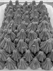 Mathura Modak
