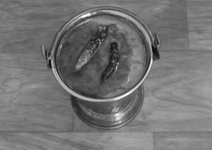 Dal Tadka