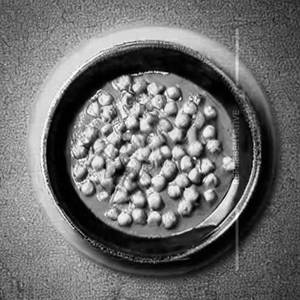 Green Peas Masala