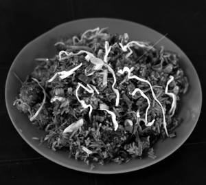 Manchurian Rice