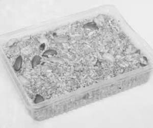 Shahi Mix 400 Gms