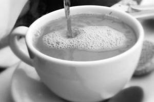 1 Irani Tea Kettle [1 Cup]