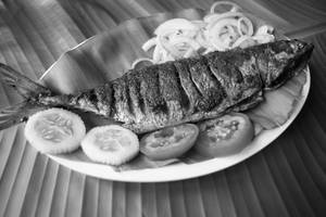 Bangda Fry