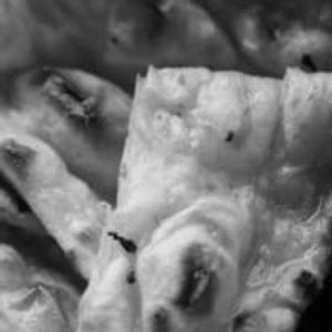 Plain Naan
