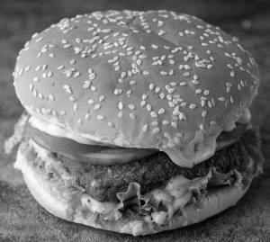 Veg Cheese Burger