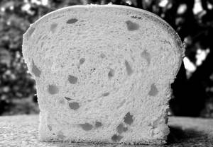Fruit Bread