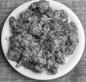 Gobi 65