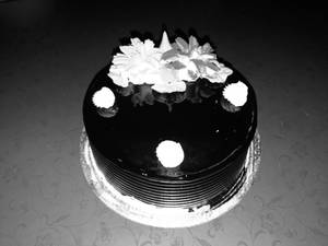 Chocolate Cool Cake 1kg