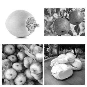 Tender Coconut Apple Within Nungu (750 Ml)