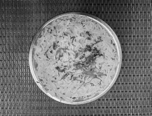 Jeera Rice