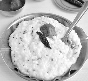 Curd Rice