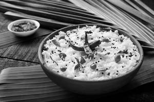 Curd Rice  