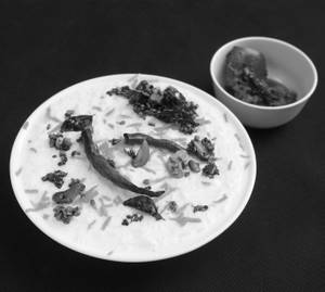 Curd Rice