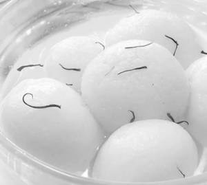 Sponge Rasgulla Per Pc