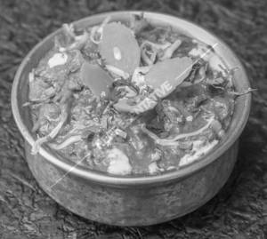 Paneer Pasand