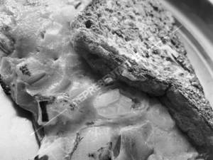 Bread Omelette Cheese
