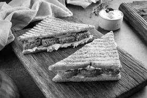 Falafel Hummus Sandwich [15g Protein, 513 Kcal]