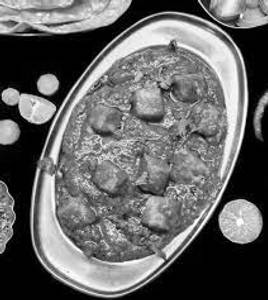 Paneer gravy
