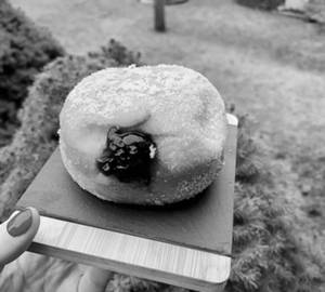 Blueberry Filled Bombolini (pack Of 2)