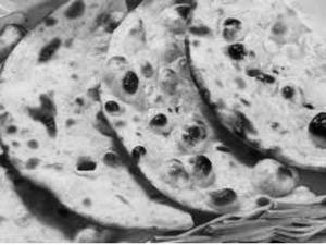 Tandoori Roti
