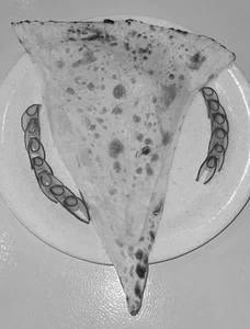 Butter Naan