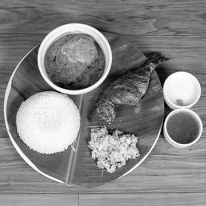 Fish Meals
