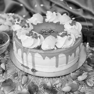 Bindaas Binge Special Cake