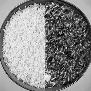 Plain Rice
