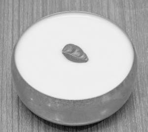 Curd