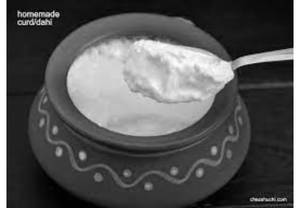 Curd
