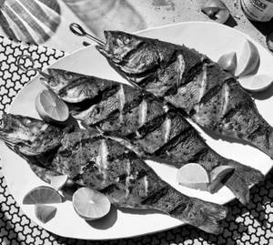 Grilled Fish