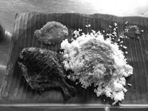 Fish Meals
