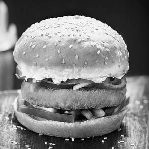 Hungry Bird Burger